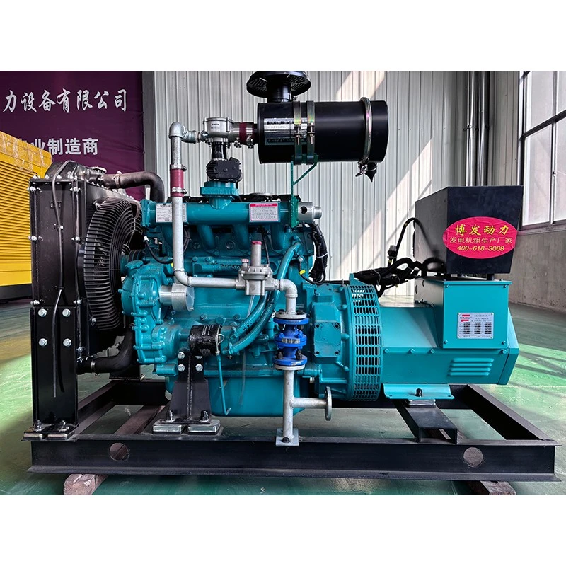 Natural Gas Generator Sets high quality Natural Gas Generator Sets high quality